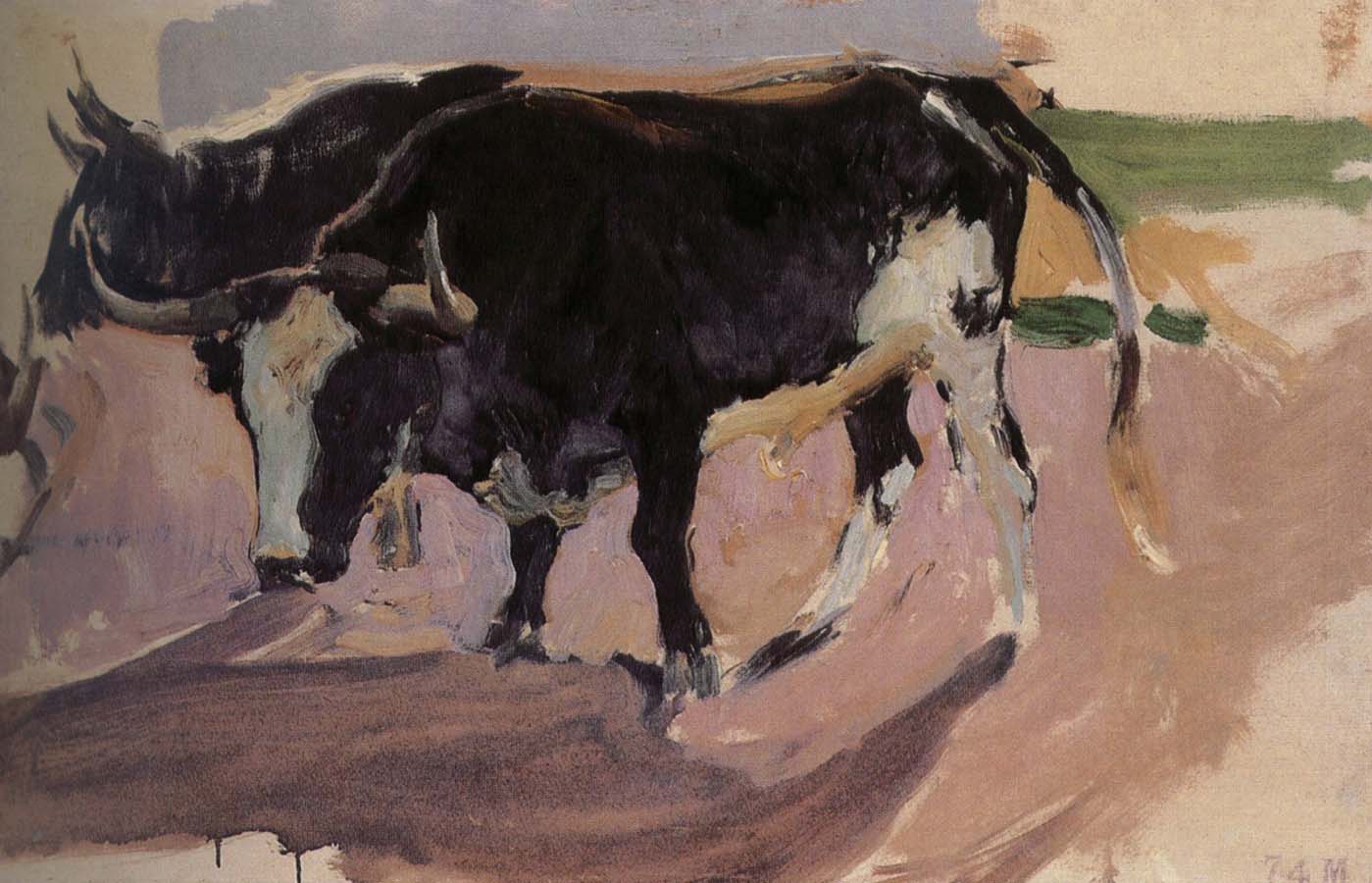 Joaquin Sorolla Bull Project